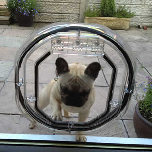 Dog Flap Installations Manchester City Centre